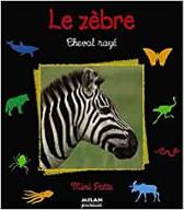 Le  zèbre, cheval rayé