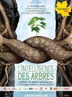 L' Intelligence des Arbres