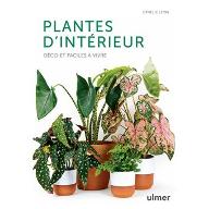 Plantes d'intérieur : Déco et faciles à vivre