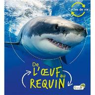 De l'Oeuf au requin