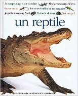 un Reptile