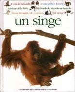Un Singe