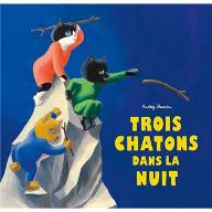 Trois chatons dans la nuit