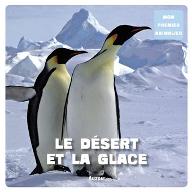 Le  Désert et la glace