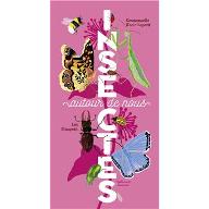 Insectes autour de nous