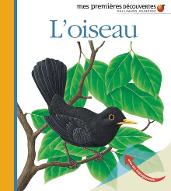 L'oiseau