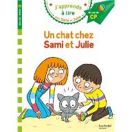 Un chat chez Sami et Julie