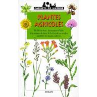 Plantes agricoles