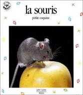 La  souris, petite coquine