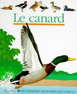 Le  canard