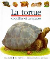 La  Tortue