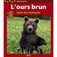 L' ours brun : géant des montagnes
