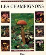 Les  champignons