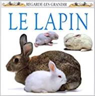 Le  Lapin
