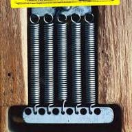 Stevie Ray Vaughan and double trouble