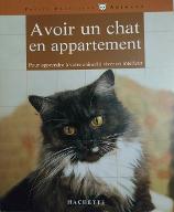 Avoir un chat en appartement