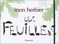 Mon herbier, les feuilles