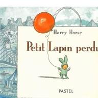 Petit Lapin perdu