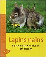 Les  lapins nains