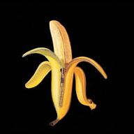 Welcome to the monkey house