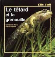 Le  Tétard et la grenouille