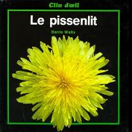 Le  pissenlit