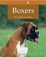 Boxers : Bien soigner votre boxer