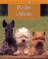 Petits chiens : Bien connaître les chiens de petite taille