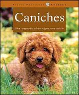 Caniches : Les comprendre et les soigner