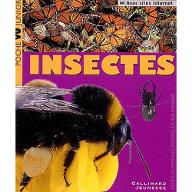 Insectes