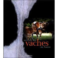 Portrait des vaches de France