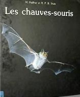 Les  Chauves-souris