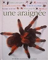 Une araignée..