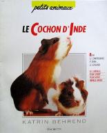 Cochon d'Inde