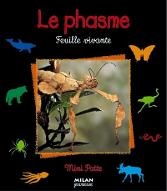 Le  phasme : feuille vivante