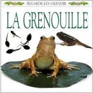 Grenouille