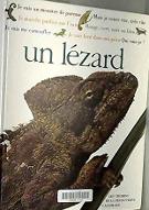 Un Lézard
