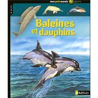 Baleines et dauphins