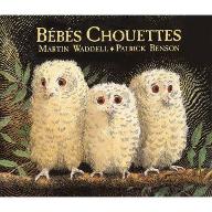 Bébés chouettes