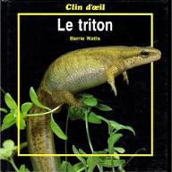Le  triton