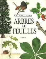 Arbres et feuilles
