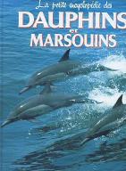 Dauphins et marsouins