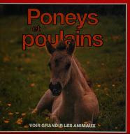 Poneys et poulains