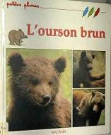 L' Ourson brun