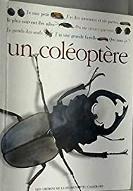 Un coléoptère