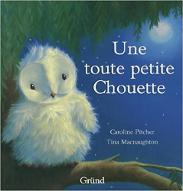 Une toute petite chouette