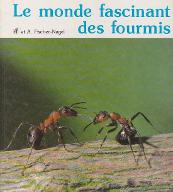Le  monde fascinant des fourmis