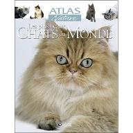 Les  plus beaux chats du monde