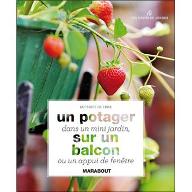 Un potager dans un mini jardin : sur un balcon ou un appui de fenêtre