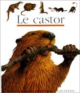 Castor